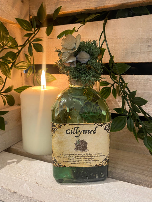 Gillyweed Potion