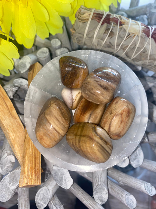 Petrified wood